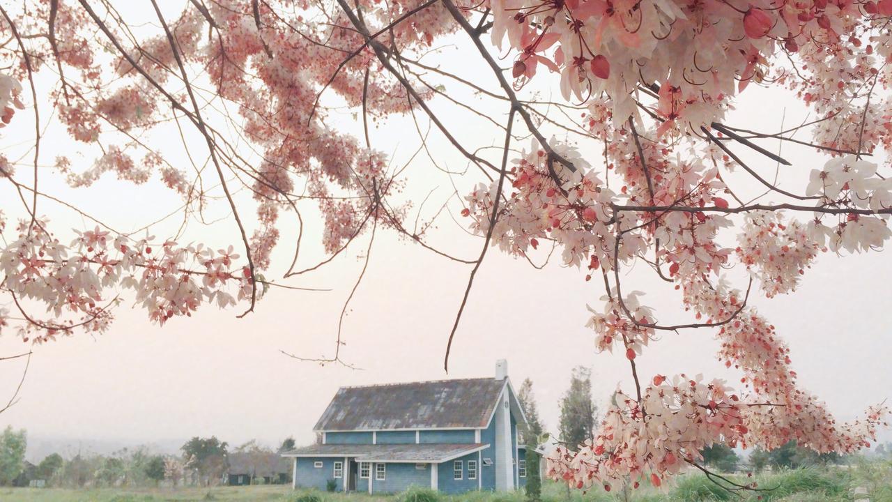 로맨스 언아더 스토리 인 파이 호텔 빠이 외부 사진